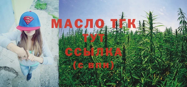 твердый Надым