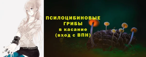 шишки Михайловск