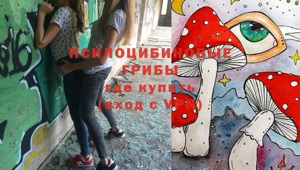 твердый Надым