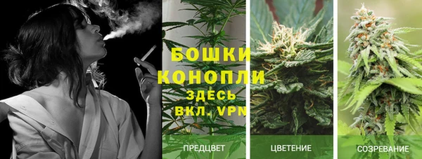 гашик Навашино